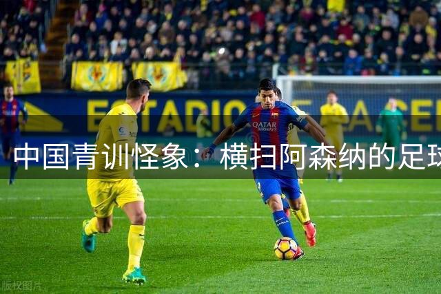 中国青训怪象：横扫阿森纳的足球天才为何难觅职业出路？